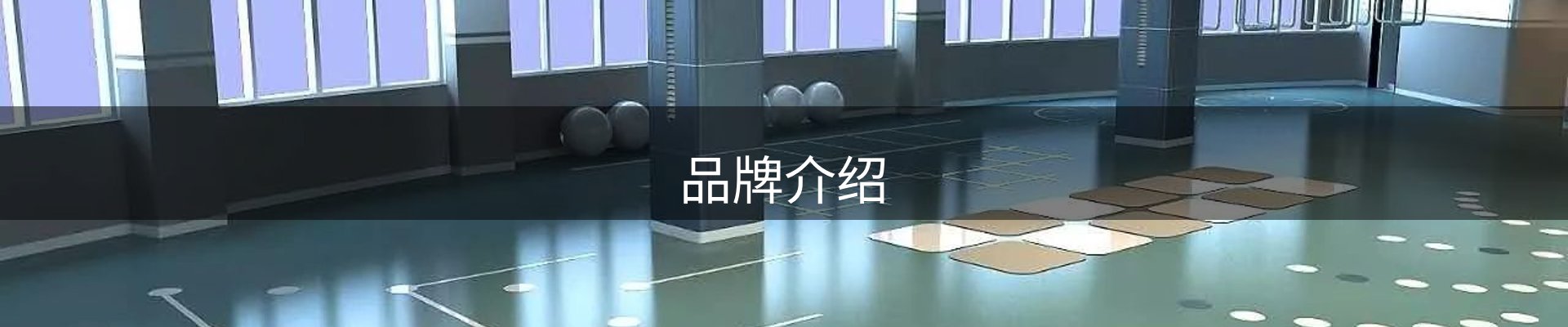 品牌介绍